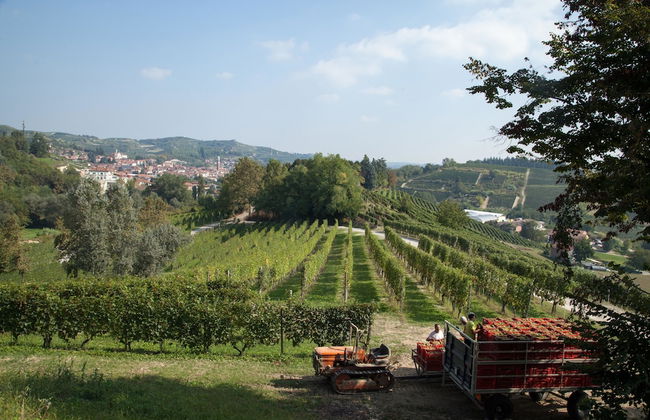 Villa Cornarea - Photo 42