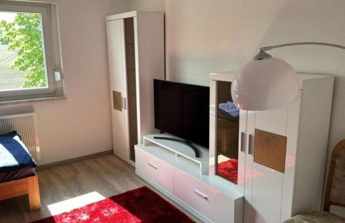 NEU! Ferienwohnung Elsteraue OG links - Foto 5