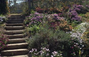 Casa Vacanze Borgo Borghese - Foto 7