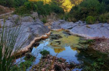 La Ultima Casa Masboquera - Foto 45