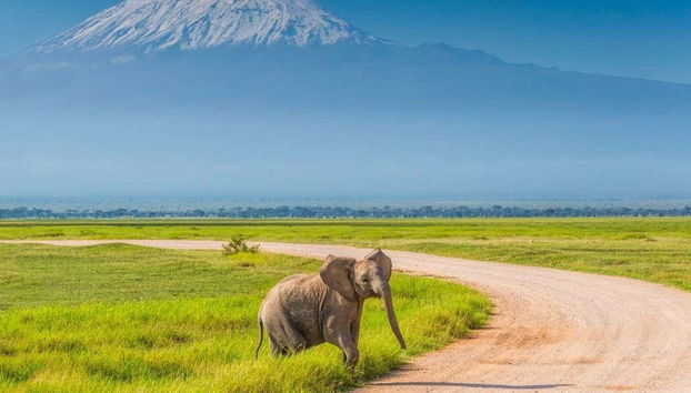 Safari de 7 días por Masái Mara, Amboseli, Hell's Gate y Lago Nakuru - Foto 3