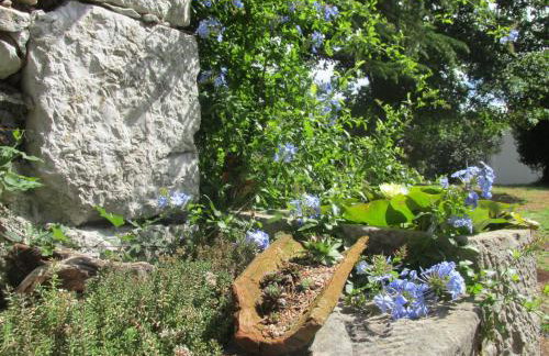 Holiday Home Botanica - Foto 45