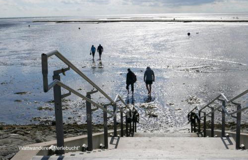 Pole Poppenspäler mit Ladestation - Foto 23