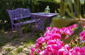 Agriturismo Il Catrino - Foto 16