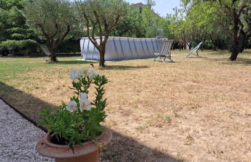 La Provençale - Foto 6