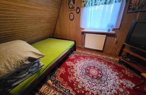 W Krainie Żubra - Foto 10