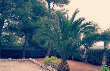 Casa Andromeda - Foto 6