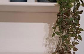 Villa Carmen - Foto 66