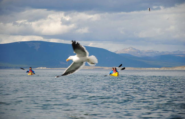 Beagle Channel Kayak Tour - Photo 3