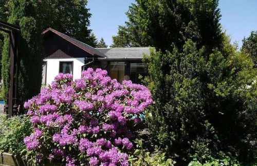 Ferienhaus Maxen - Foto 16