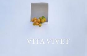 VITA VIVET TRULLO - Foto 30