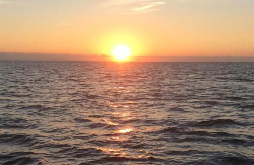 Maison du Port - Foto 34