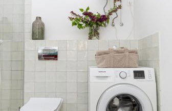 Cisza żurawi - Foto 4