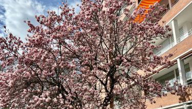 FairLoft - Messeloft - 5 Minutes to fair - 10 Minutes to city center - Foto 3