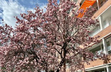 FairLoft - Messeloft - 5 Minutes to fair - 10 Minutes to city center - Foto 3