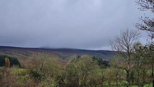 The Cornerstone - Foto 4