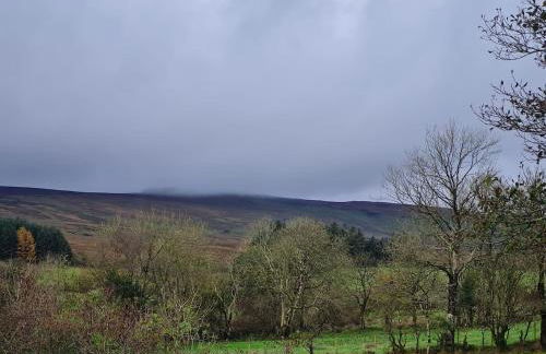 The Cornerstone - Foto 4