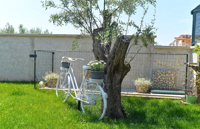 House 1891 - Photo 73