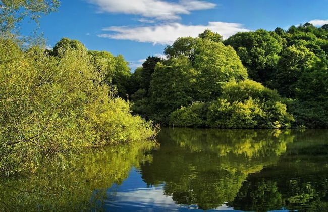 Parkside Penthouse - Foto 32