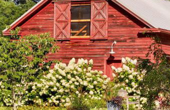 Haddock Cotter Chic Farmhouse and Barn w Pool - Foto 3