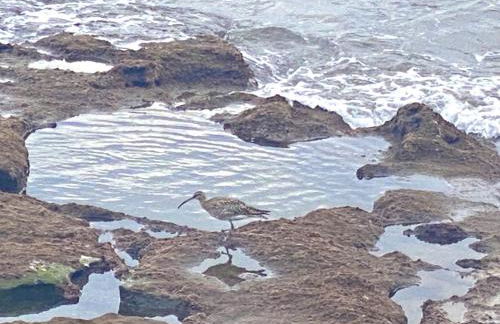 Tejita Sun Beach Holidays by Deihu Experiences - Foto 33