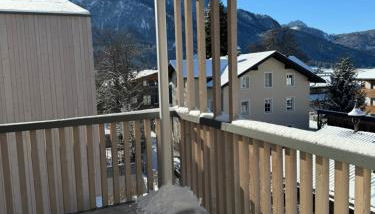 stella alpina - Foto 5