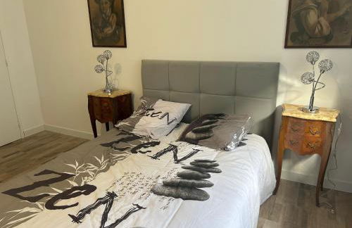 Appartement d'exception centre ville Gavray - Foto 5