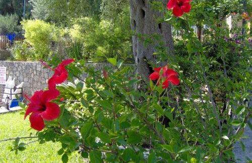 Aphrodite Studios & Pool - Foto 17