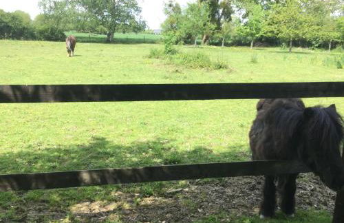 Bungalow 2 pièces, SDB, terrasse, Piscine de mai à octobre - Foto 15