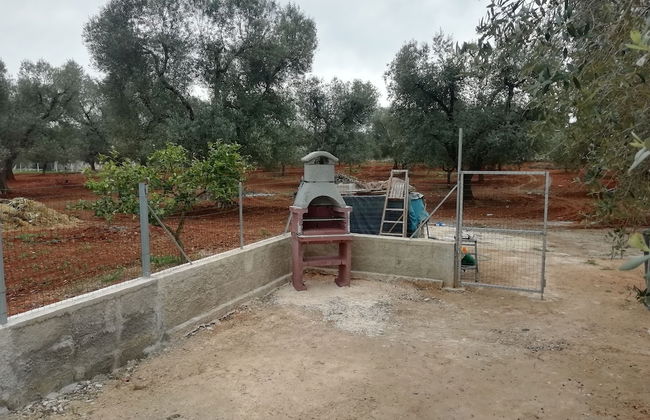 Virginia Country House With Pool Salento Riserva Torre Guaceto Brindisi - Foto 17