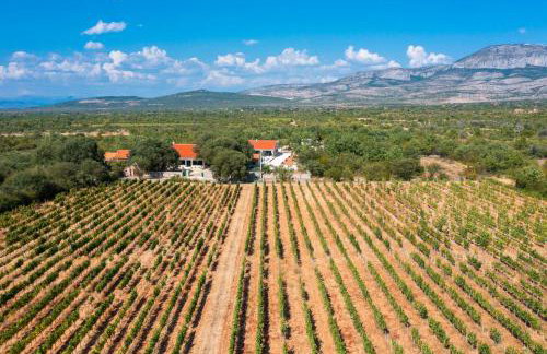 Tosic Estate - Villa, Vineyards and Winery - Foto 50