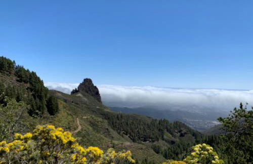 Villa Rosaura - Foto 54