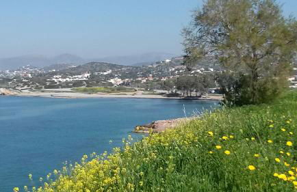 Nostalgia Seaview House - Foto 18