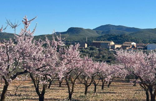 Casa Miranda - Foto 9