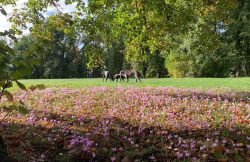 Le Buscagneau - Photo 27