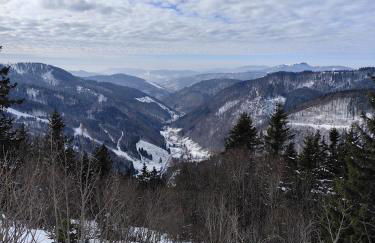 Blackforest Perla - Foto 33