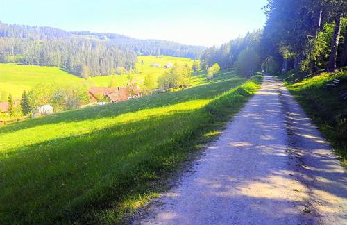 Romantic Style Apartment Titisee-Neustadt - Foto 9