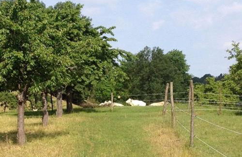 Ferien am Roten Haus - Foto 7