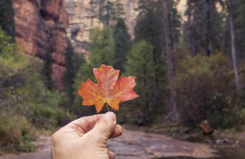 Grand Canyon Getaway Near Snowbowl Flagstaff Sedona Family-Friendly Sleeps 14 - Foto 9