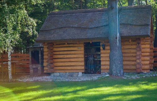 SASKI ZAKĄTEK, WAKACJE W BAJKOWYM DOMKU!!! MAZURY, SAUNA, JEZiORO, POMOST, - Foto 7