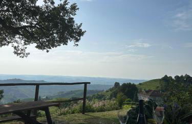 Villa di Langa - Foto 45