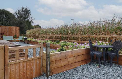 Old Bell Farm - Foto 15