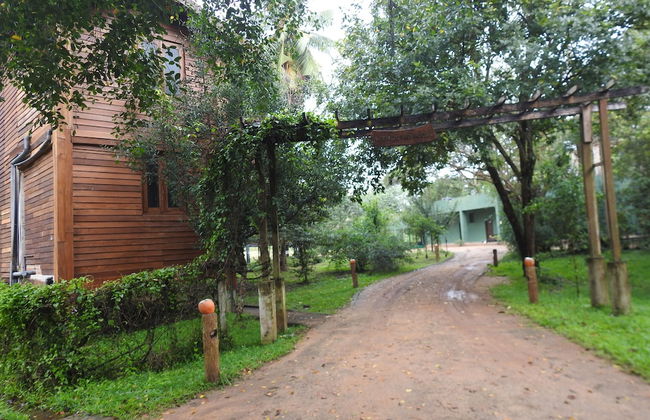 wilpattu Tree House - Foto 30