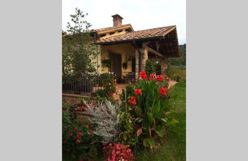 wine apartment le sedici - Foto 45