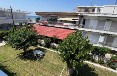 Sempre Viva - Foto 21