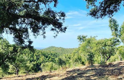 Casa de Celebrar a Vida - Foto 37