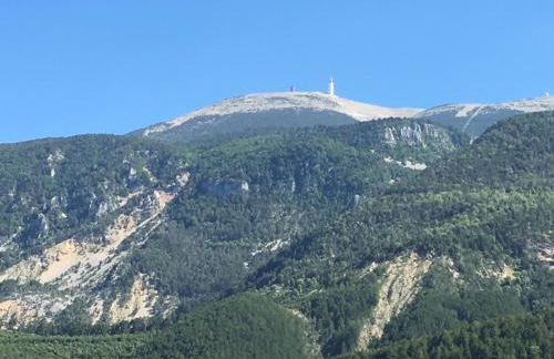 Le Jardin de Lau - Photo 45