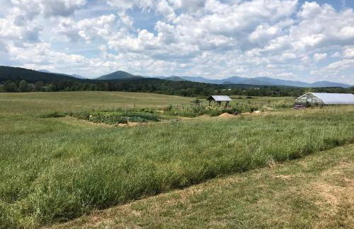 Rustic Bell Tent on Working Farm in New York with Views of the Adirondacks - Foto 6