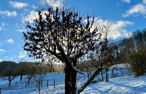 Wyzenborne - Foto 30