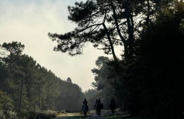 Villa Atlantis en bois - Foto 27